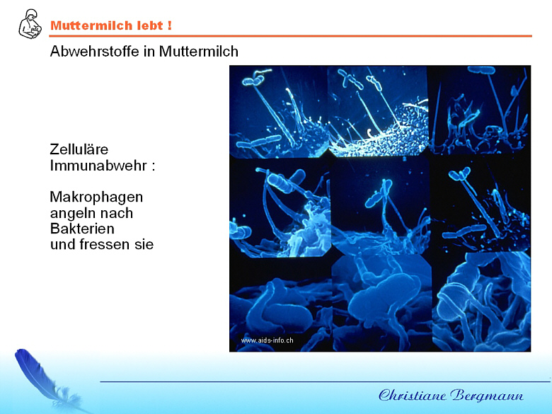 folie14