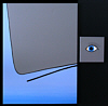 Pottwal mit Auge